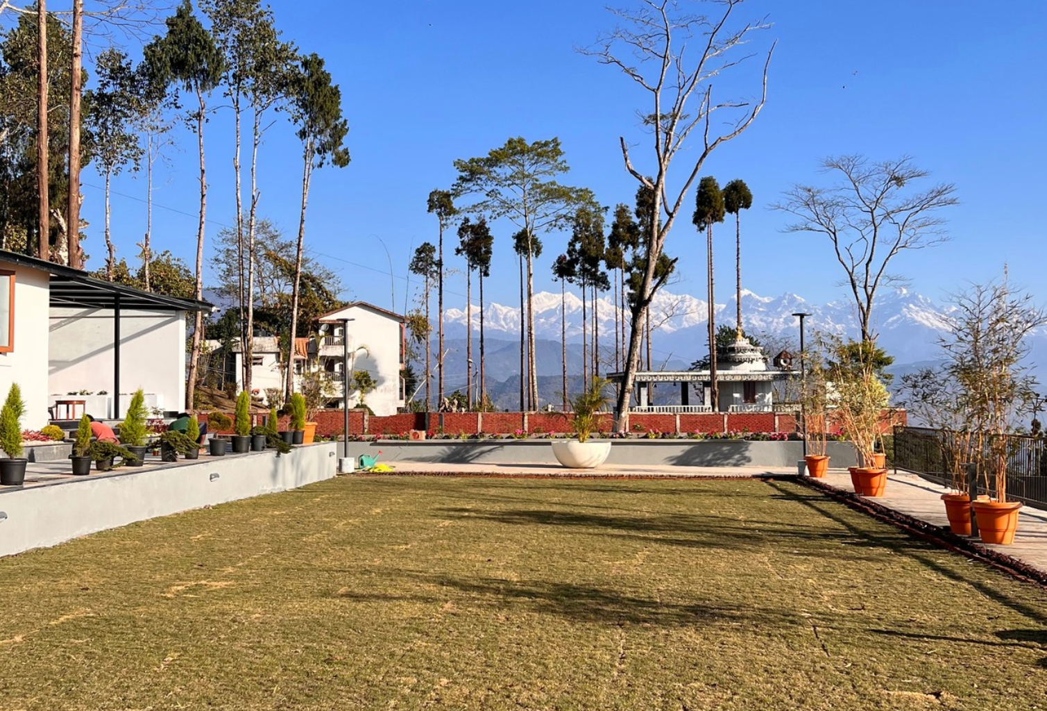 Puttabong Tea Estate lawn with Khangchendzonga view